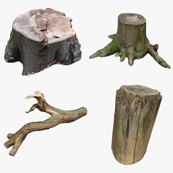 3D Tree Stump Collection 14