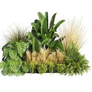 3D plant vol 892 - garden - pampas - banana - mostera