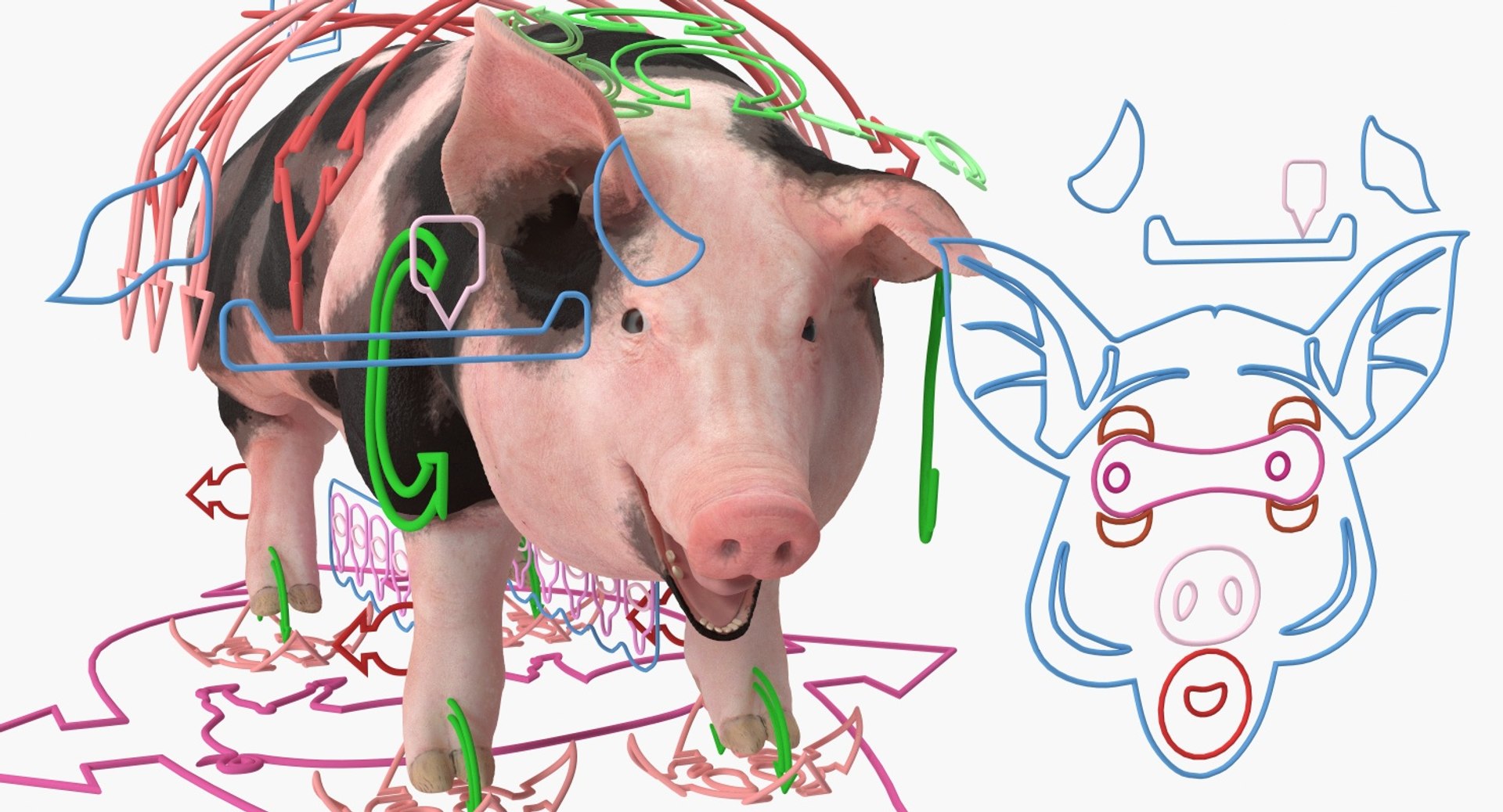 3D pig sow peitrain rigged model https://p.turbosquid.com/ts-thumb/Ok/2CPe2i/GJ2sj46k/pigsowpeitrainriggedvray3dmodel003/jpg/1545058631/1920x1080/fit_q87/72874f0a311dfef5982a115830513990eb3e4e4f/pigsowpeitrainriggedvray3dmodel003.jpg