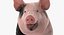 Pig Sow Peitrain Rigged