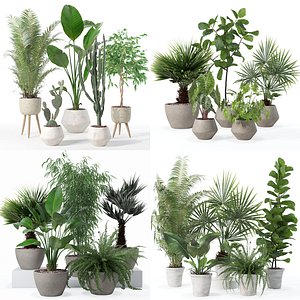 3D 20 Photorealistic Flowers for Interiors - set 119 126 132 139