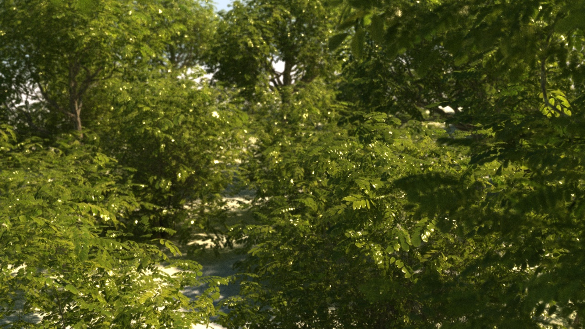 3D small trees bushes 2 model https://p.turbosquid.com/ts-thumb/Ok/A40Hao/0NJs9mlV/0000/jpg/1526033302/1920x1080/turn_fit_q99/1fb03b1cce0752ce91e5c8989f5635140fa3cb40/0000-1.jpg