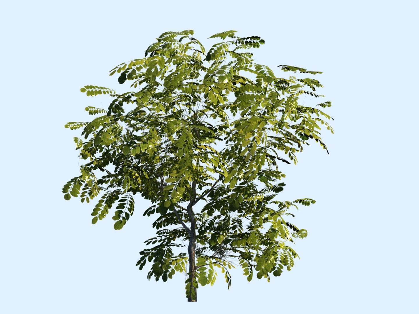 3D small trees bushes 2 model https://p.turbosquid.com/ts-thumb/Ok/A40Hao/0c2suNNl/0000/jpg/1525989653/1920x1080/turn_fit_q99/f5af985f1fc021e97f3037f13291aae3ce5da97f/0000-1.jpg