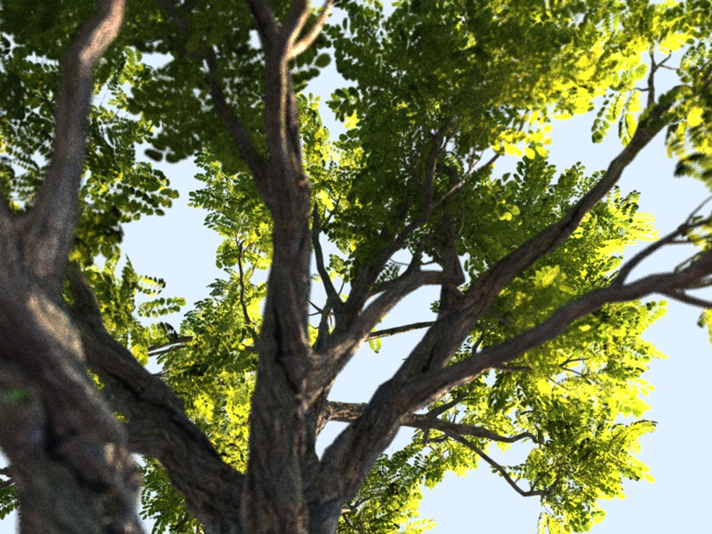 3D small trees bushes 2 model https://p.turbosquid.com/ts-thumb/Ok/A40Hao/LFkfGaUl/0000/jpg/1525810029/1920x1080/turn_fit_q99/209d8c6a230acecd88b91ab209f58c7f246fe7f7/0000-1.jpg