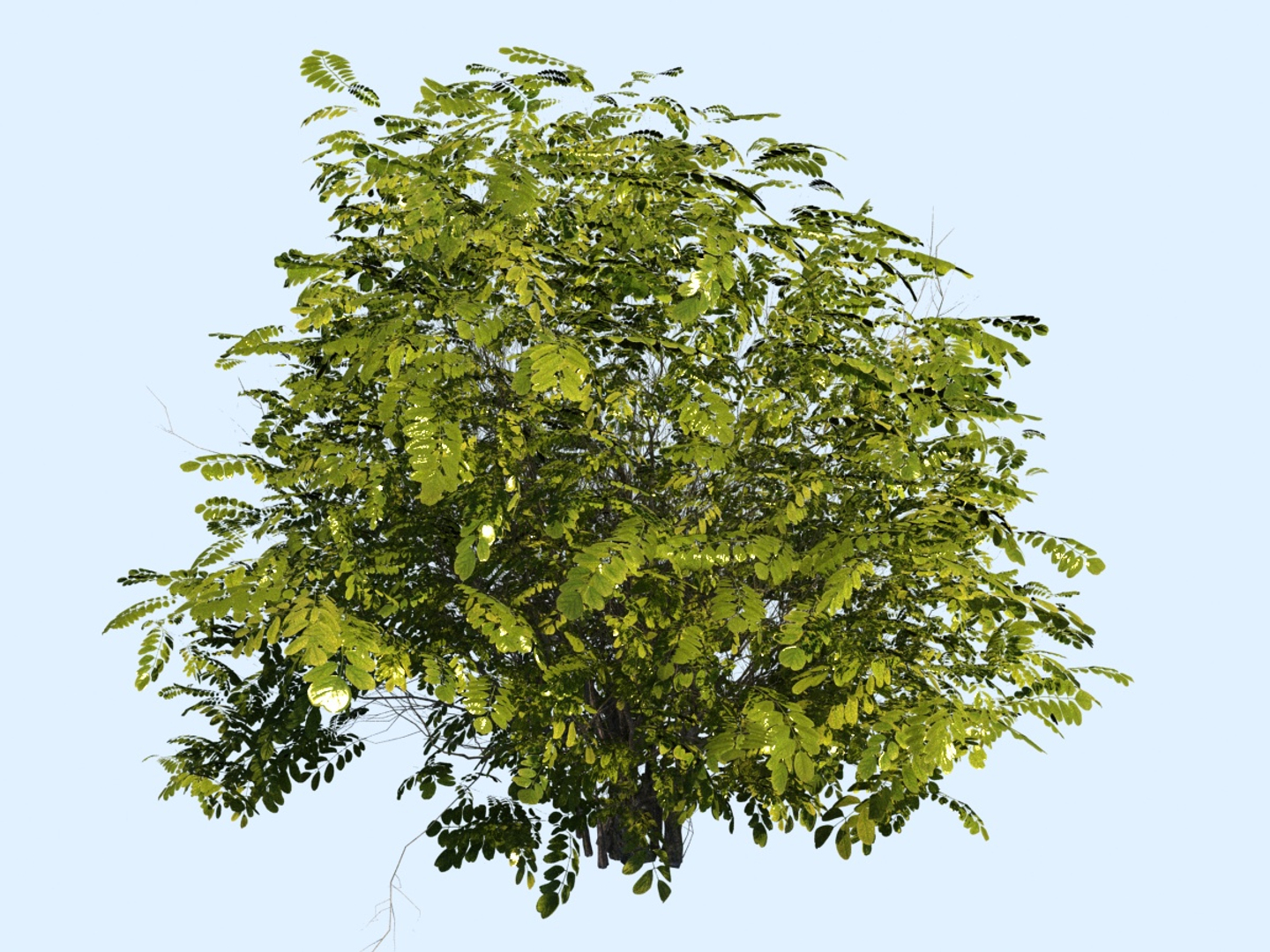 3D small trees bushes 2 model https://p.turbosquid.com/ts-thumb/Ok/A40Hao/Xsyejlf4/0000/jpg/1525989752/1920x1080/turn_fit_q99/8d64d728c375e4bf35ac861a7efce71b5aef864b/0000-1.jpg