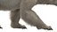 3D Polar Bear Fur Rigged 3D model