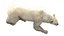 3D Polar Bear Fur Rigged 3D model