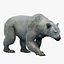 3D Polar Bear Fur Rigged 3D model