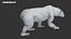 3D Polar Bear Fur Rigged 3D model