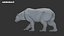 3D Polar Bear Fur Rigged 3D model