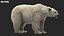 3D Polar Bear Fur Rigged 3D model