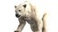 3D Polar Bear Fur Rigged 3D model