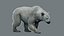 3D Polar Bear Fur Rigged 3D model