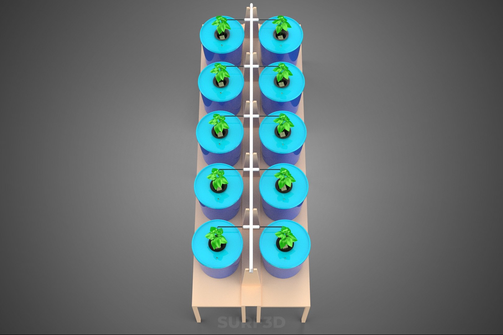 10 POT BATO METHOD DUTCH BUCKET SYSTEM HYDROPONICS PLANT STATION model https://p.turbosquid.com/ts-thumb/Ok/HePd9K/X1/16_917_10potbatomethoddutchbucketsystemhydroponicsplantstation/jpg/1765713008/1920x1080/fit_q87/18a76a9790b1fadd3c3bd88ef4aa5d07c3697bfa/16_917_10potbatomethoddutchbucketsystemhydroponicsplantstation.jpg