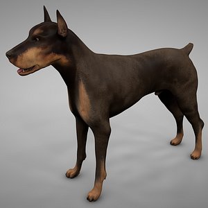 doberman rigged l613 animate 3D model