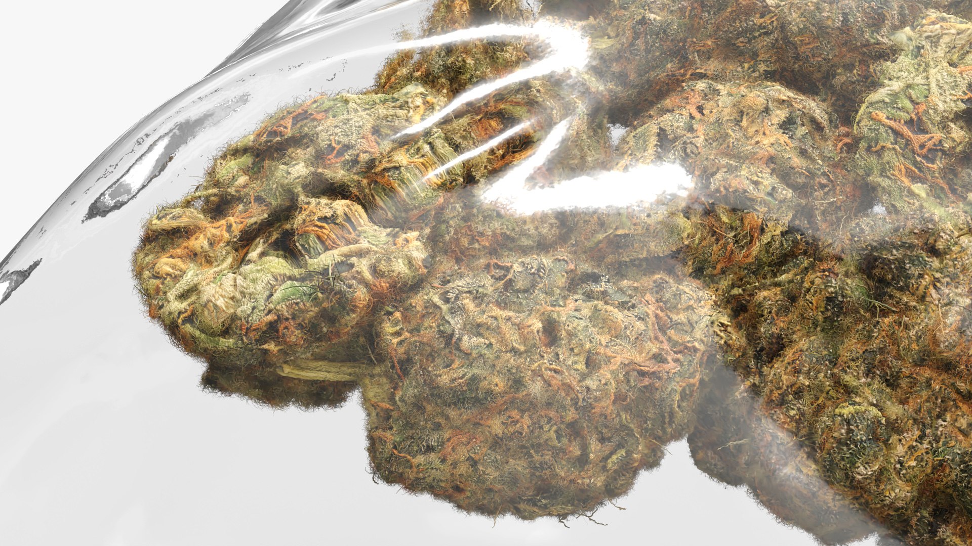 Cannabis in Zip Lock Bag Fur 3D model https://p.turbosquid.com/ts-thumb/Ok/chpeaz/Z9/cannabis_in_zip_lock_bag_fur_006/jpg/1786575272/1920x1080/fit_q87/2b8351e74ca5a694ed267e99684d833595821691/cannabis_in_zip_lock_bag_fur_006.jpg