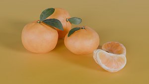Mandarin Quality 3D Model
