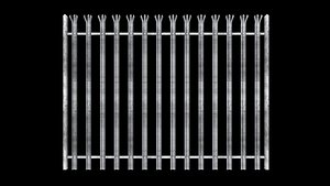 Palisade Fence 3D