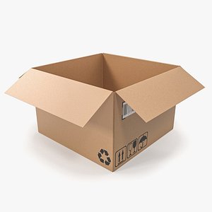 Cardboard box 17