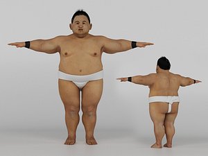 Sumo Wrestler