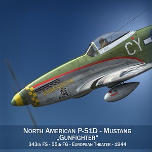 North American P-51D - Gunfighter