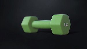Fitness dumbbells 4 kg 3D model