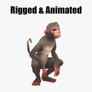 aniamted monkey model