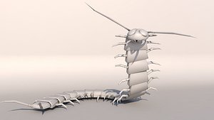 3d centipede