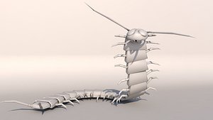 centipede