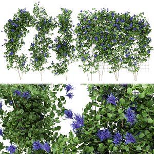 Collection plant vol 227 3D