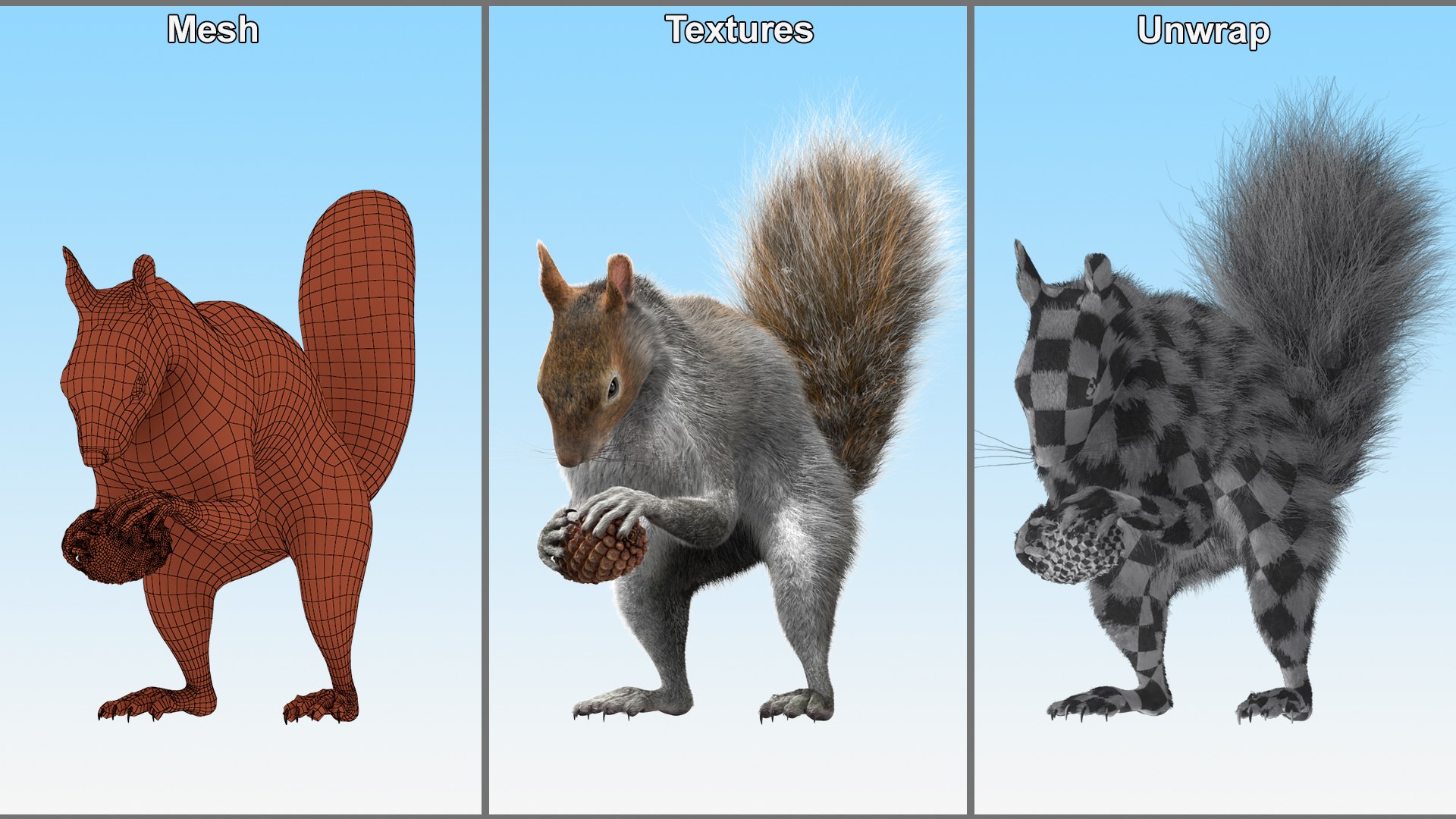 3D model Squirrel with Pine Cone Fur https://p.turbosquid.com/ts-thumb/Om/2kuz0N/Hr/squirrel_with_pine_cone_fur_012/jpg/1737142852/1920x1080/fit_q87/1dc014688325806cb41cd79fb6235c5b8e9a0338/squirrel_with_pine_cone_fur_012.jpg
