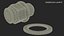 Wheel Nut And Washer