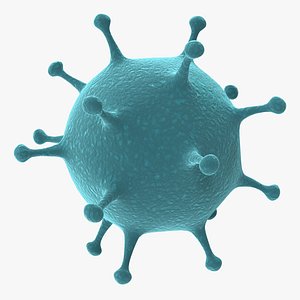 Influenza Virus