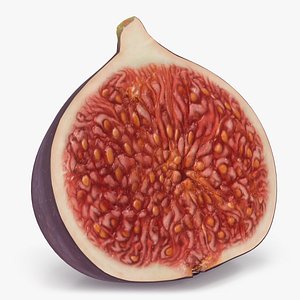 Black Mission Fig Fruit Half 3D model