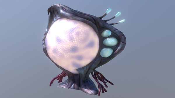 organic monitor 3D model