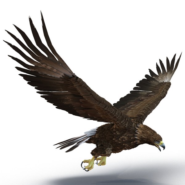 golden eagle rigged 3d max