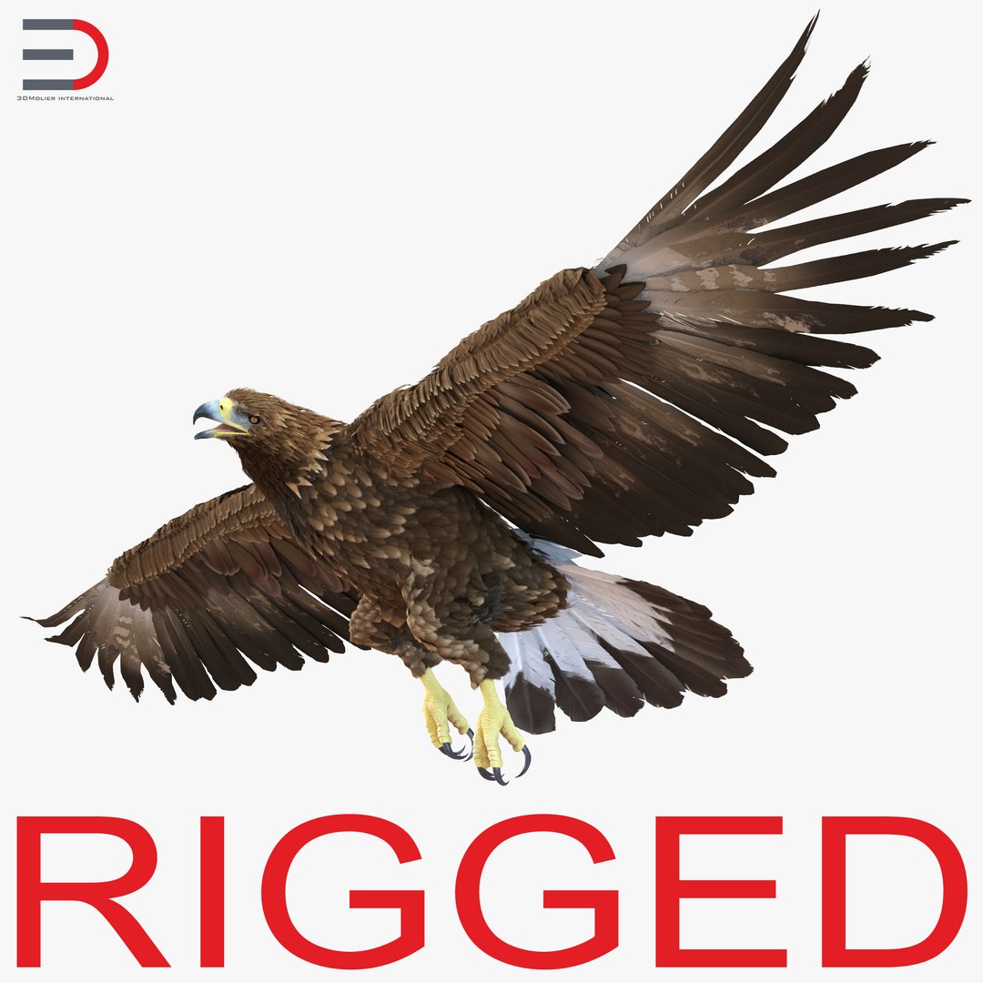 Golden Eagle Rigged 3D model preview