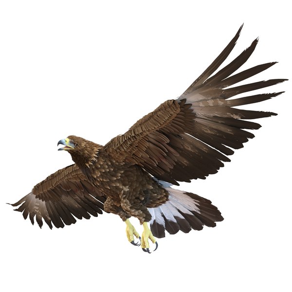 golden eagle rigged 3d max