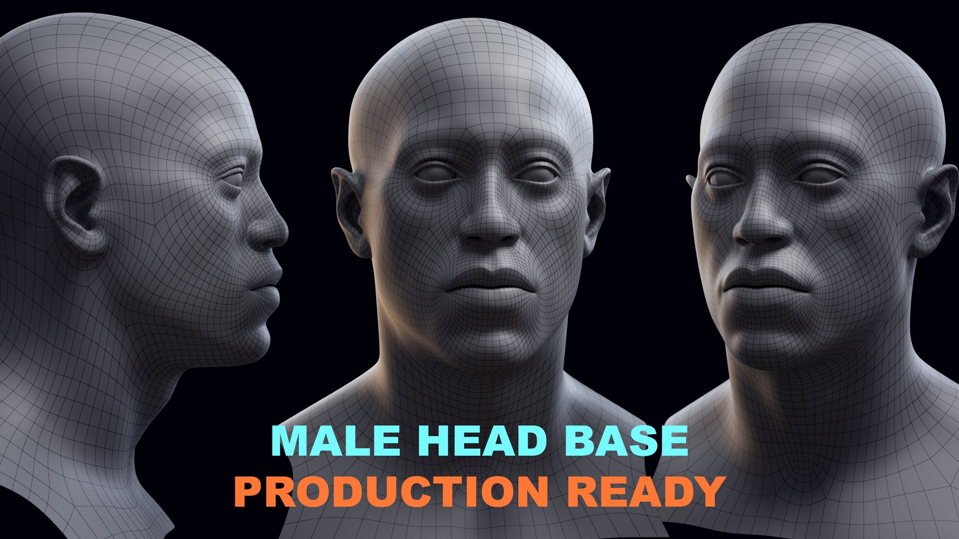 3D Male Head Base Model Ready For Production Model TurboSquid 2015981