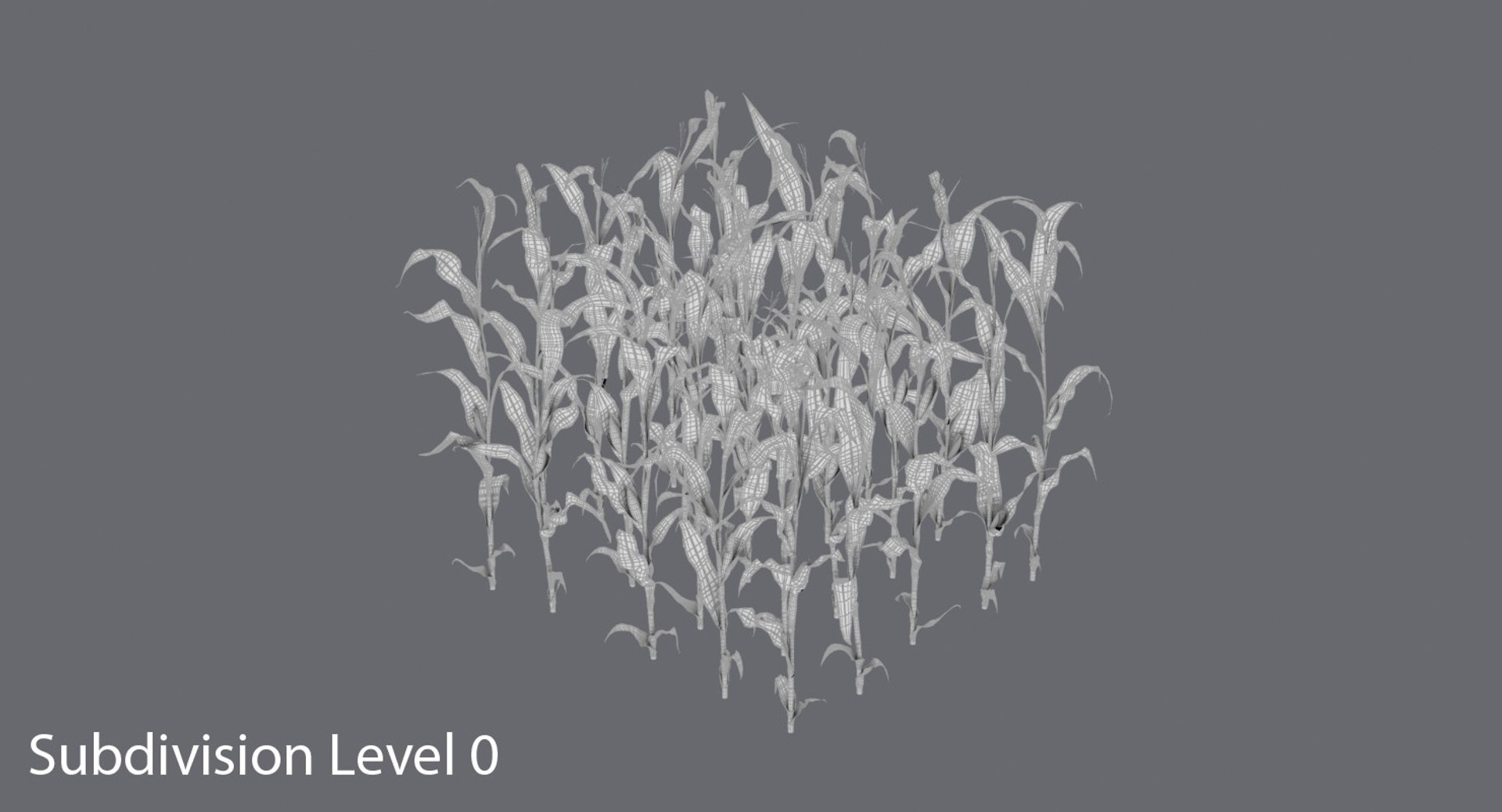 3D corn-stalks-and-patch---patch model https://p.turbosquid.com/ts-thumb/Om/n6Jdvm/2R25h40V/corn_stalks_wireframe_0002/jpg/1541696489/1920x1080/fit_q87/23c2d5f8c2354f4447ae3a785c6662c8bc29ff15/corn_stalks_wireframe_0002.jpg