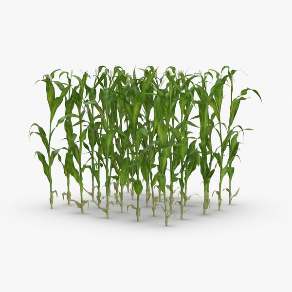 3D cornucopia - TurboSquid 1328182