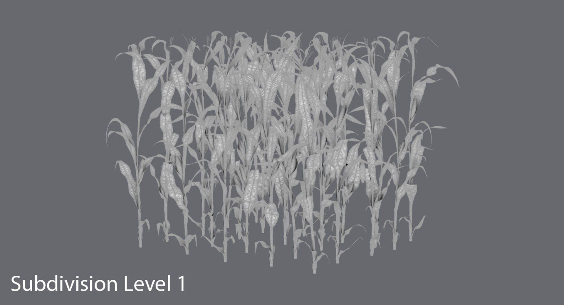 3D corn-stalks-and-patch---patch model https://p.turbosquid.com/ts-thumb/Om/n6Jdvm/fL9boGsm/corn_stalks_subdivisions_0000/jpg/1541696476/1920x1080/fit_q87/9804fbb6ac6432c02234dce4b2091004fb204b4d/corn_stalks_subdivisions_0000.jpg