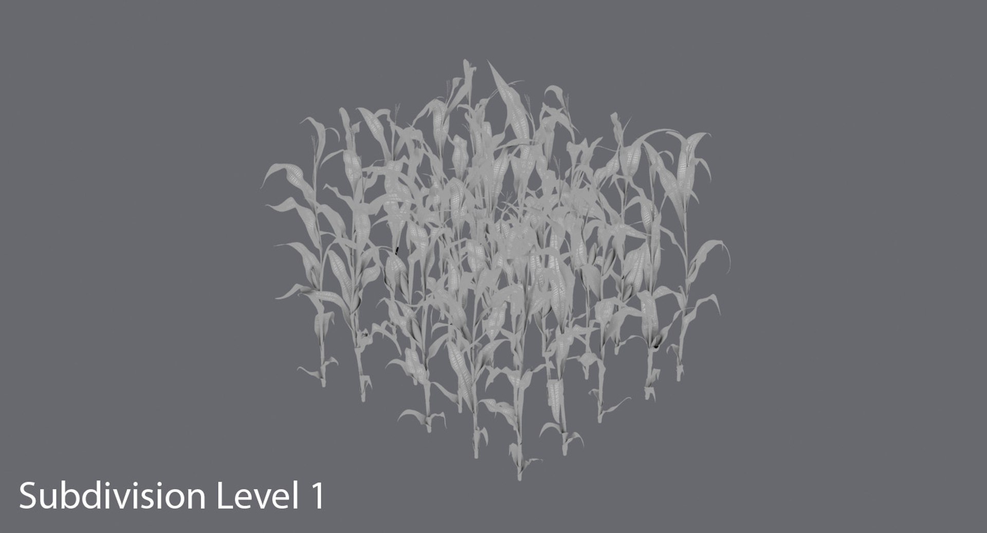 3D corn-stalks-and-patch---patch model https://p.turbosquid.com/ts-thumb/Om/n6Jdvm/noZE983f/corn_stalks_subdivisions_0002/jpg/1541696482/1920x1080/fit_q87/5a72c169b33b021c23de570f52435e68546eac20/corn_stalks_subdivisions_0002.jpg