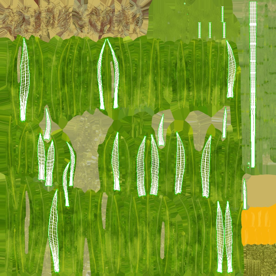 3D corn-stalks-and-patch---patch model https://p.turbosquid.com/ts-thumb/Om/n6Jdvm/oRx0wrkB/uv/jpg/1541696495/1920x1080/fit_q87/739000a11748e638c4264344076127b5a8a5fcd7/uv.jpg