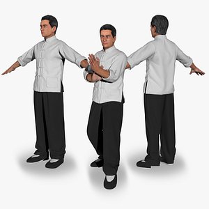 3D Kung Fu man model