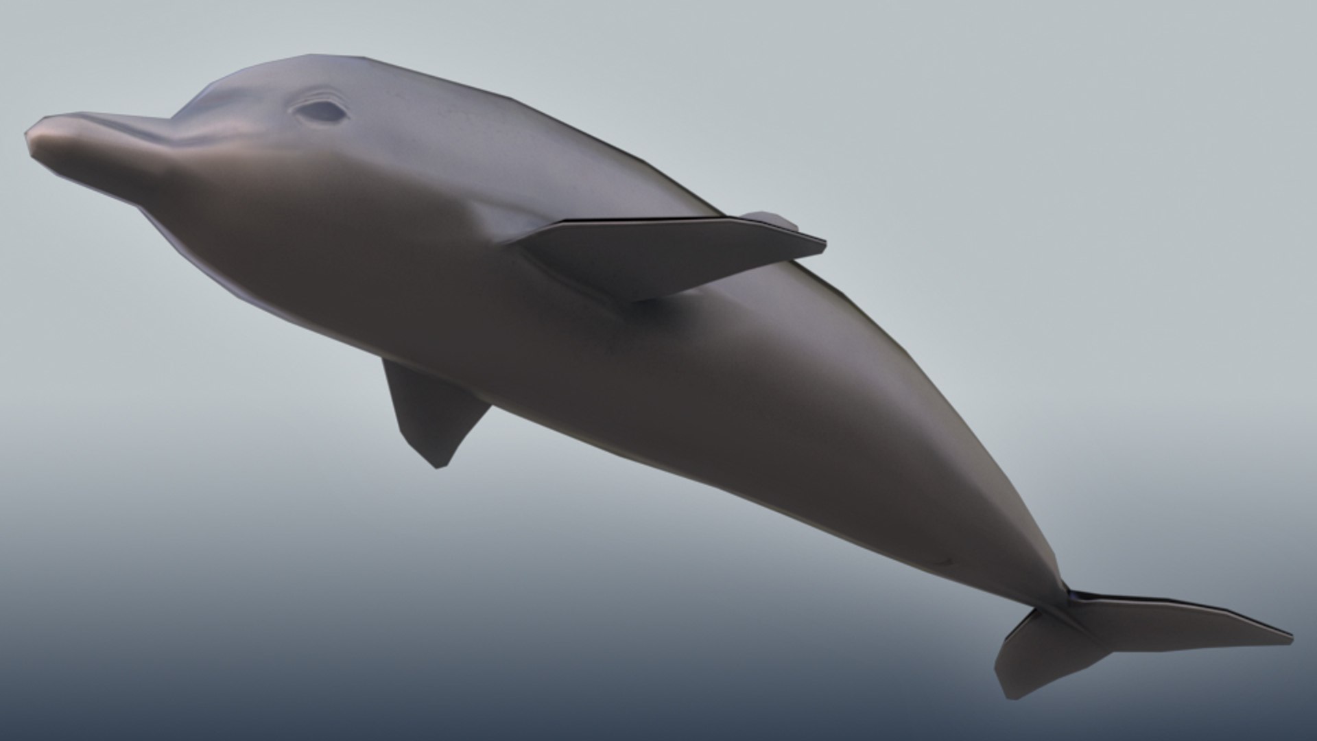 3d model of realistic dolphin https://p.turbosquid.com/ts-thumb/Om/oLyI87/DQdMJuhR/dolphin_05/jpg/1439474848/1920x1080/fit_q87/d09c6459a64891fa661565af696d45ae6109aa98/dolphin_05.jpg