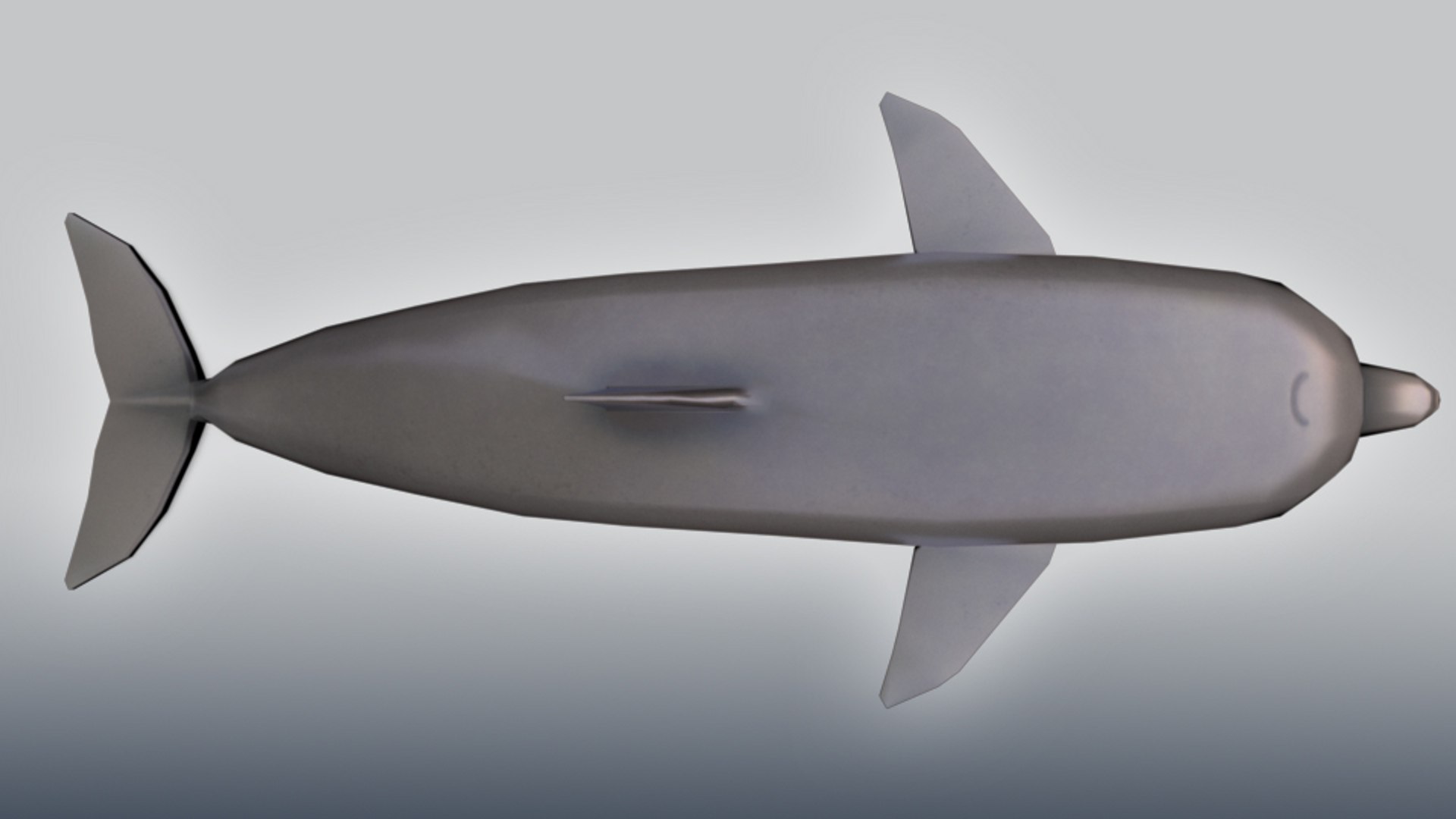 3d model of realistic dolphin https://p.turbosquid.com/ts-thumb/Om/oLyI87/fjWTpV7k/dolphin_03/jpg/1439474848/1920x1080/fit_q87/124308343d509d2921790ded969c6560f431b7c4/dolphin_03.jpg