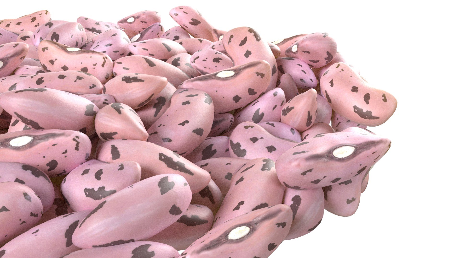 3D model Cranberry Borlotti bean bowl https://p.turbosquid.com/ts-thumb/Om/sAuqB0/8U/6/jpg/1745474927/1920x1080/fit_q87/76bf88fa2a0ecbe56f8218cd2f7e45f81b6025d2/6.jpg