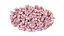 Tigela de feijão Borlotti com cranberry