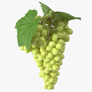 Green Sultana Grape Cluster